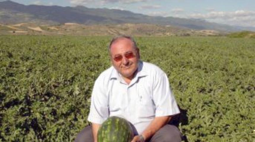 Samsunli girişimci, Rusya ve Hindistan'da organik karpuz yetiştirecek