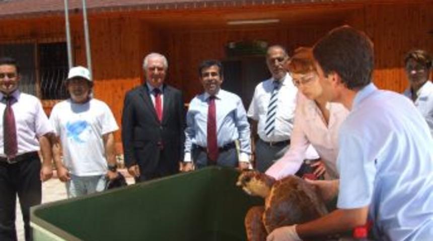 2. B&uuml;y&uuml;k Caretta Caretta hastanesi a&ccedil;ıldı