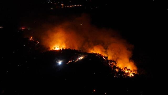 Adana nın Karaisalı ilçesindeki orman yangını kontrol altına alındı 18