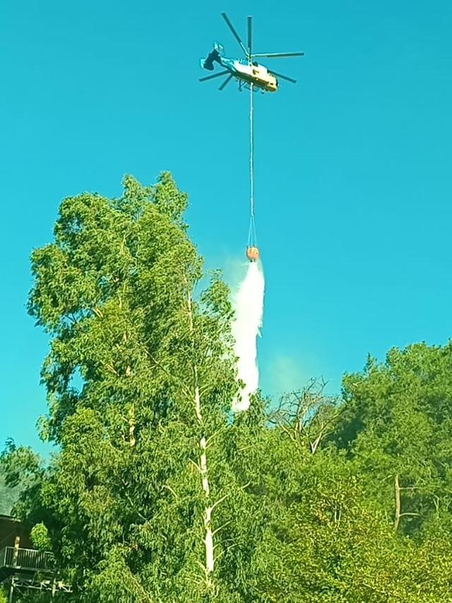 Adana nın Kozan ilçesinde iki noktada çıkan orman yangınlarına müdahale ediliyor 2