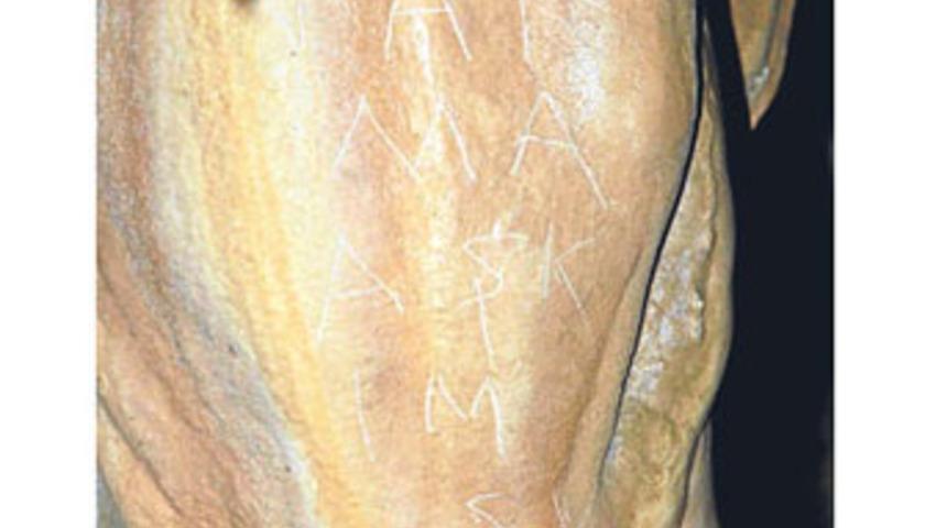 Sevgilinin adını &ouml;yle bir kazıdı ki