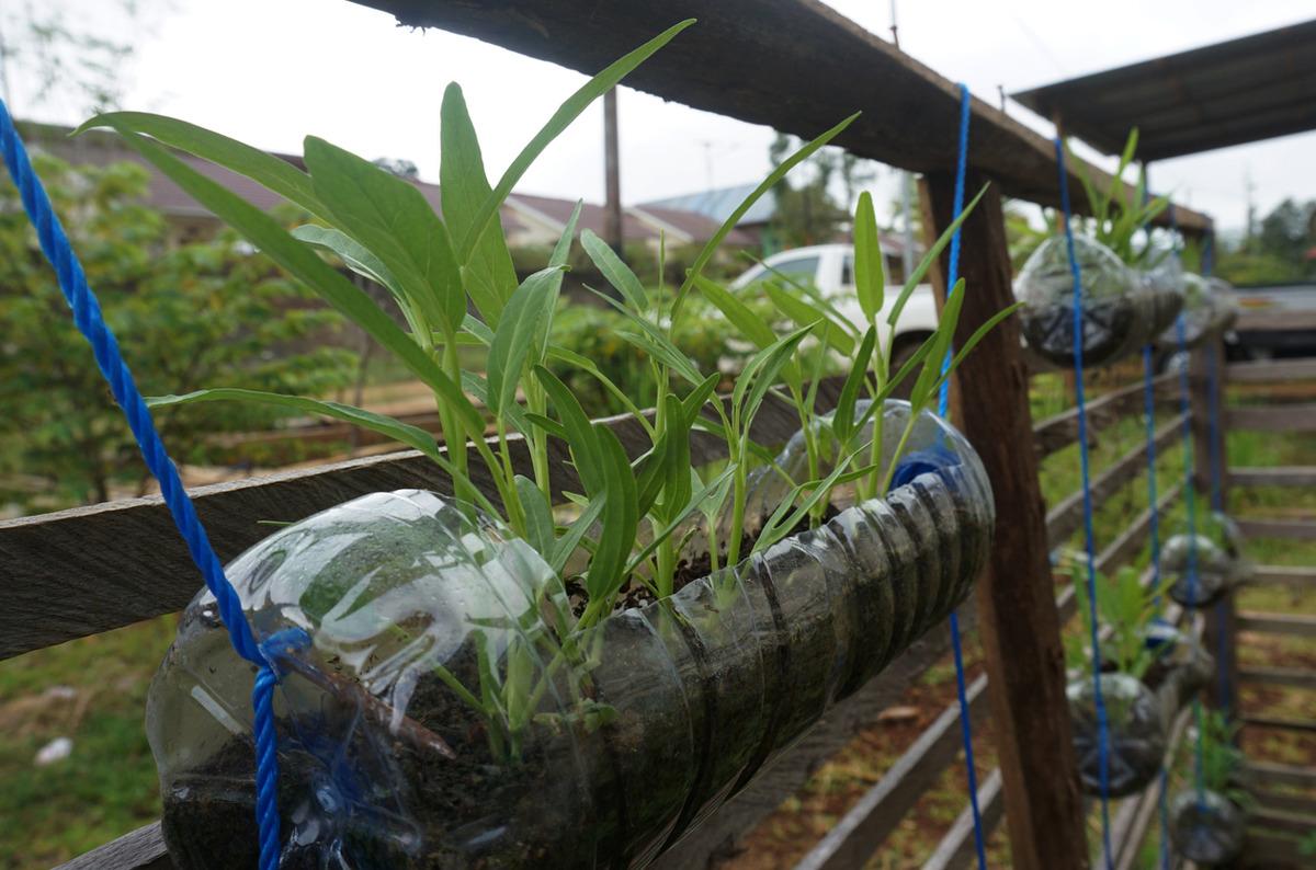 Plastik şişeleri &ccedil;&ouml;pe atmayın! Bah&ccedil;ede bakın ne işe yarıyor 2