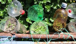 Plastik şişeleri &ccedil;&ouml;pe atmayın! Bah&ccedil;ede bakın ne işe yarıyor