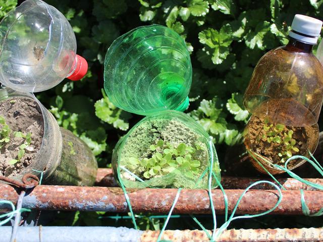 Plastik şişeleri &ccedil;&ouml;pe atmayın! Bah&ccedil;ede bakın ne işe yarıyor