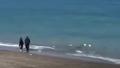 Yer: D�zce! Piknik ��plerini denize atan kad�nlara para cezas�