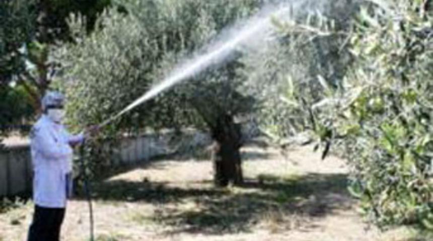 Burdurlu &uuml;retici kaolinle tanıştı