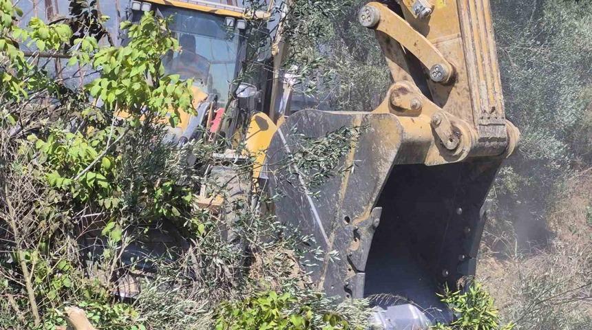 Manavgat&rsquo;ta zeytinlik yangında 100 ağa&ccedil; zarar g&ouml;rd&uuml;