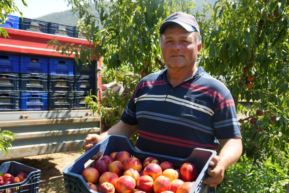 Geçen yıl 70 liraydı şimdi 20 TL! "Bir yıl ömrü var" 2