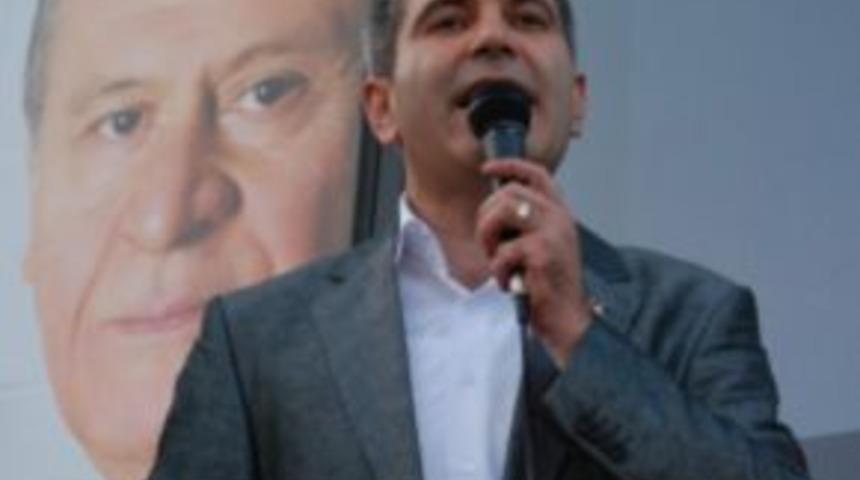 &Ccedil;evreyoluna tepki