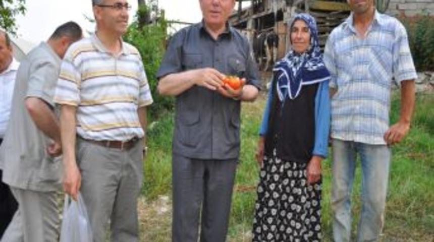 Vali Oğuz, seralarda incelemede bulundu