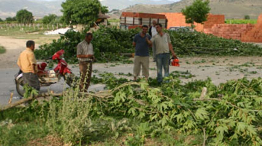 Ş>iddetli fırtına hayatı durdurdu