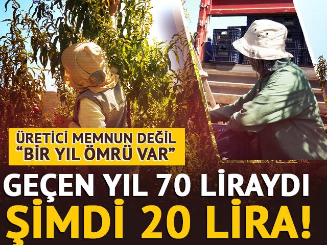 Ge&ccedil;en yıl 70 liraydı şimdi 20 TL! "Bir yıl &ouml;mr&uuml; var"