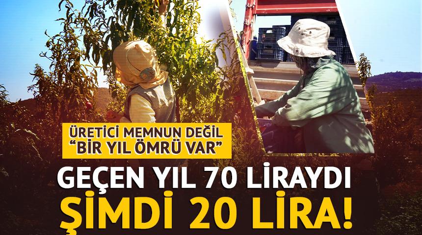 Ge&ccedil;en yıl 70 liraydı şimdi 20 TL! "Bir yıl &ouml;mr&uuml; var"