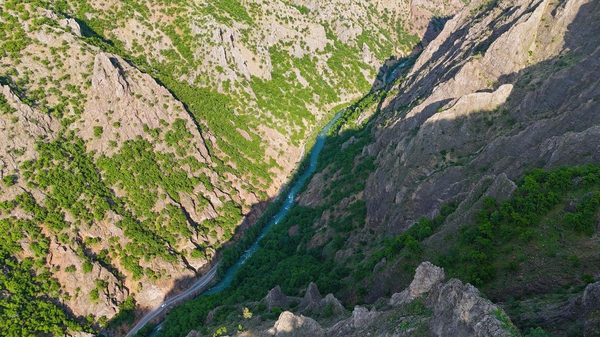 Doğada kendiliğinden yetişiyordu: 20 kilo topladılar, 2 milyon lira ceza yediler! 3