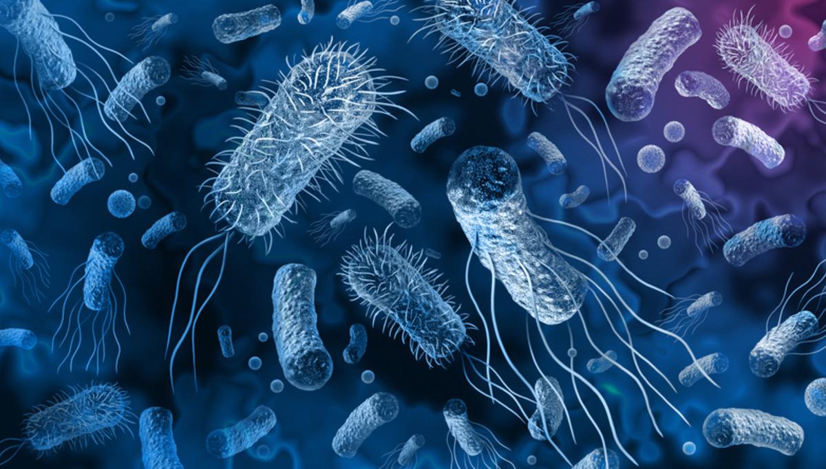 Salmonella alarmı! 81 kişi hastalandı, bu kuruyemiş toplatılıyor 3