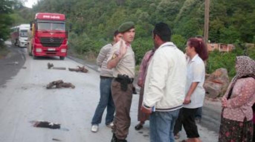Mahallelerinde beton kamyonlarını istemeyen kadınlar yol kapattı