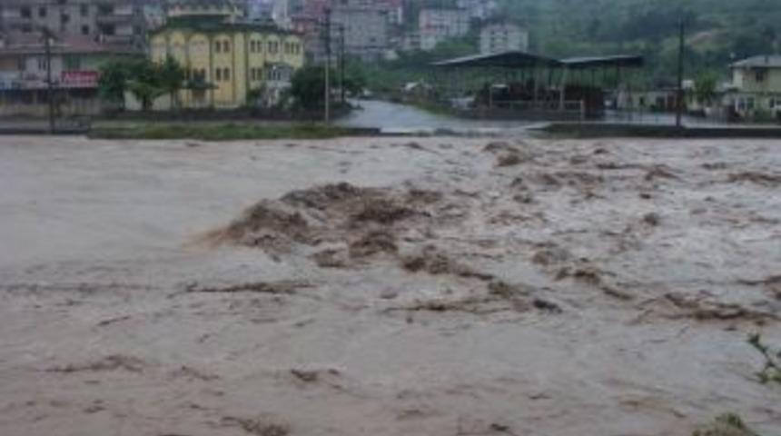 Alaplı &Ccedil;ayı taştı