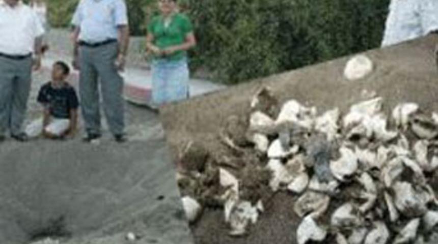 &Ccedil;oğunu &Ccedil;akallar bitirdi