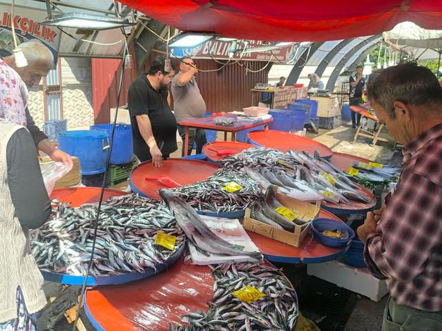 Sezon a&ccedil;ıldı, fiyatlar belli oldu! Hamsi 150 TL&rsquo;den tezgaha &ccedil;ıktı