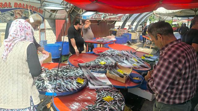 Sezon açıldı, fiyatlar belli oldu! Hamsi 150 TL’den tezgaha çıktı
