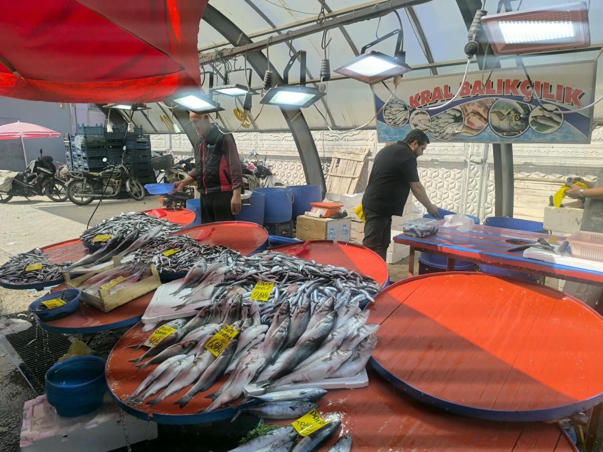 Sezon açıldı, fiyatlar belli oldu! Hamsi 150 TL’den tezgaha çıktı 1