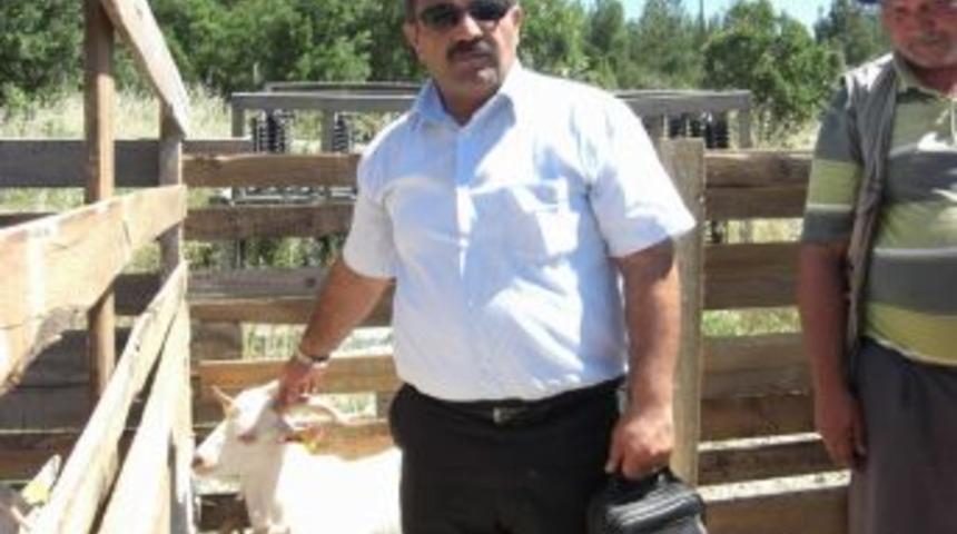 Hayvancılığa destek projesi