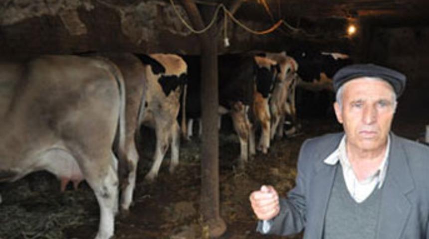 Sınırda şarbon paniği