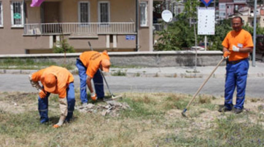 Yol kenarındaki otlar temizleniyor