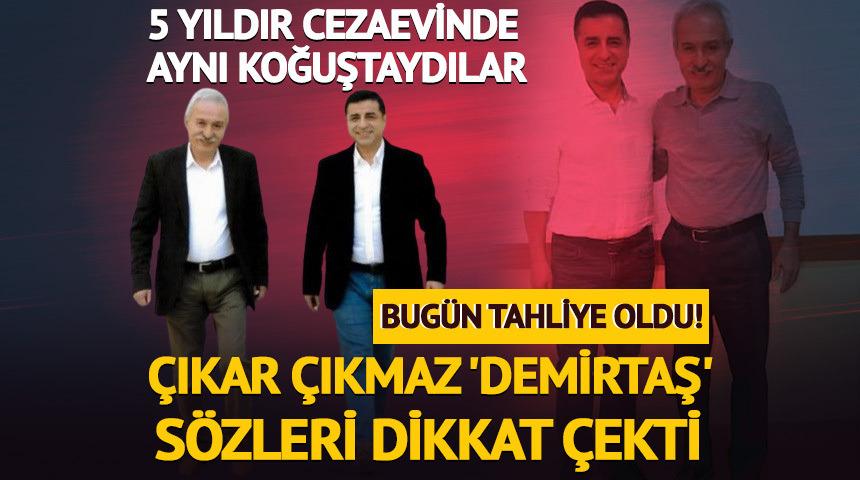 Sel&ccedil;uk Mızraklı tahliye edildi! Selahattin Demirtaş a&ccedil;ıklaması