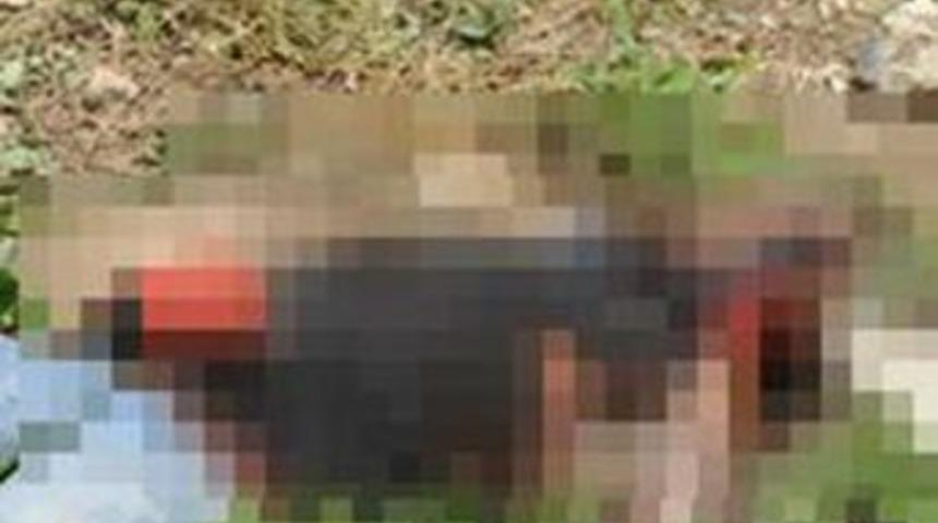 Kablo &ccedil;alarken akıma kapılıp &ouml;ld&uuml;