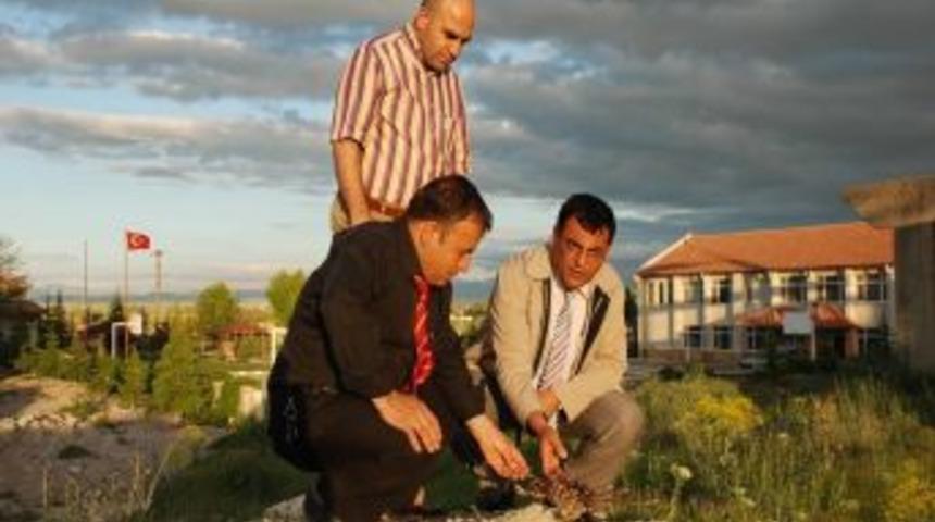 Y&uuml;ksek okulda kapari deneme &uuml;retimi yapılıyor