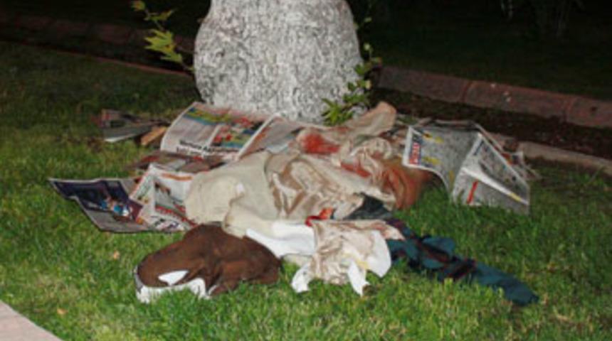 Başı kaportada kaldı