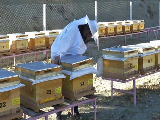 Aydın'da 2027 &uuml;retim yılı havza &uuml;r&uuml;n desenleri belli oldu