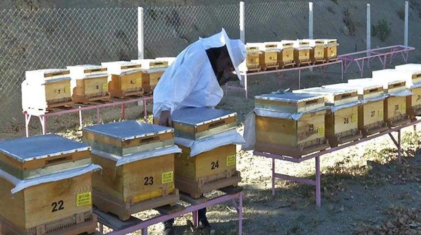 Aydın'da 2027 &uuml;retim yılı havza &uuml;r&uuml;n desenleri belli oldu