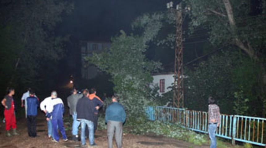 Tellerin &uuml;zerine devrilen ağa&ccedil; korkuttu