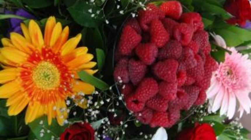 Osmanlı k&ouml;y&uuml; Cumalıkız&rsquo;ta 14. Ahududu Şenliği