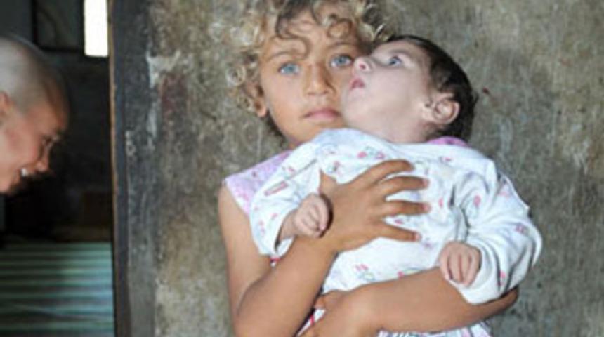 Tek isteği bir &ccedil;ift pembe pabu&ccedil;