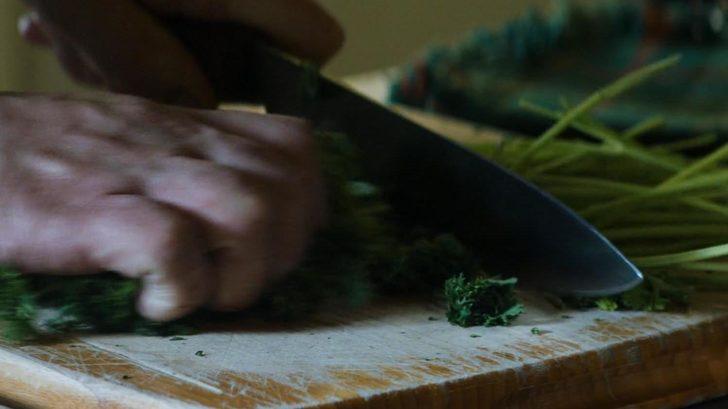 Fear the Walking Dead 2. Sezon 5. Bölüm Fotoğrafları G1