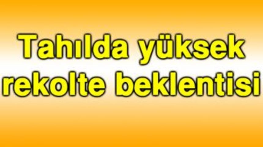 Tahılda y&uuml;ksek rekolte beklentisi