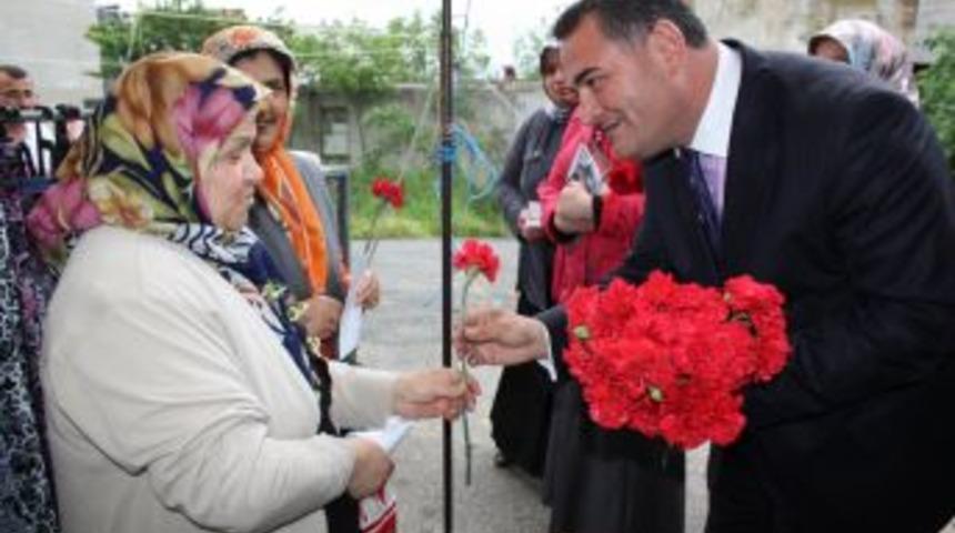 Karanfil yuvaya d&ouml;nd&uuml;