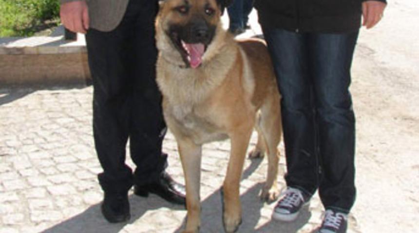 Emniyet M&uuml;d&uuml;r&uuml;n&uuml;n k&ouml;peği kayıp