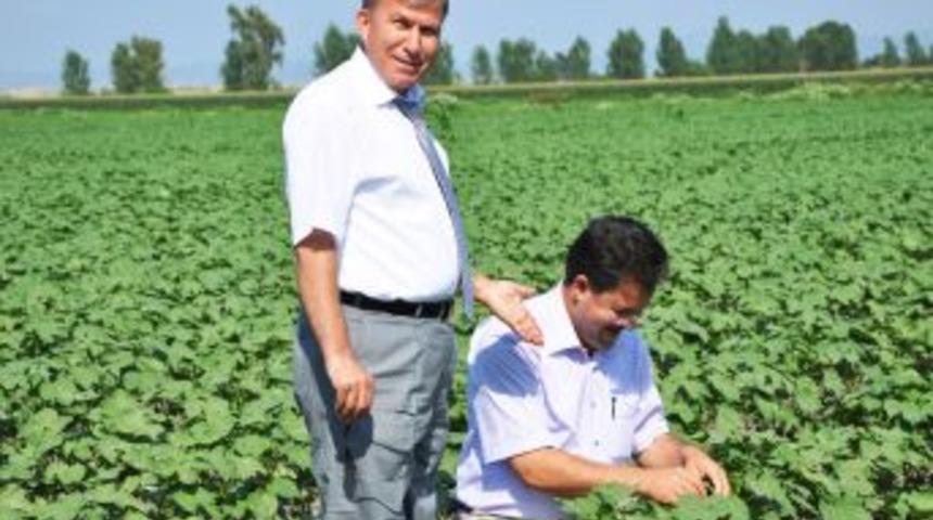 Kaymakam Ulusoy: &Ccedil;ift&ccedil;ilerimizin emrindeyiz