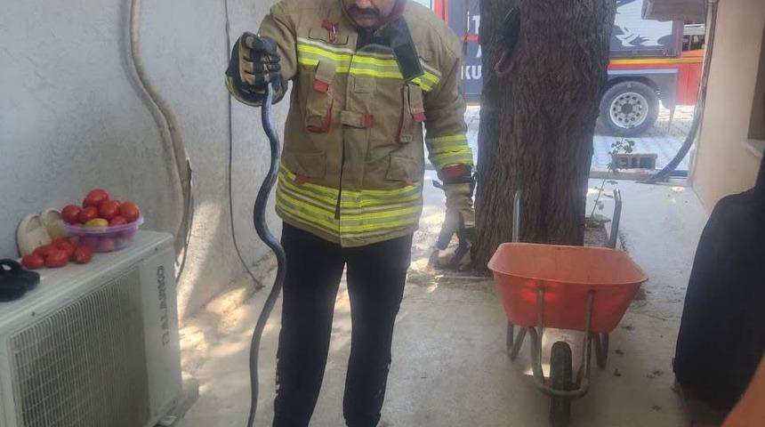 Antakya&rsquo;da eve giren yılan ekipler tarafından yakalandı