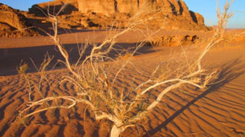 TEMA'dan &ccedil;&ouml;lleşme uyarısı