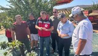 Tekirdağ'da badem hasadı başladı