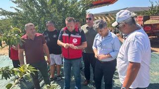 Tekirdağ'da badem hasadı başladı