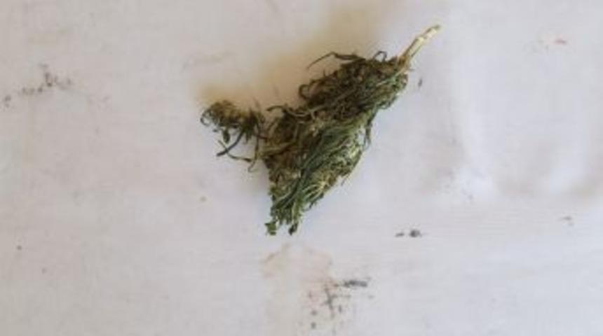 Esrar satıcısı tutuklandı