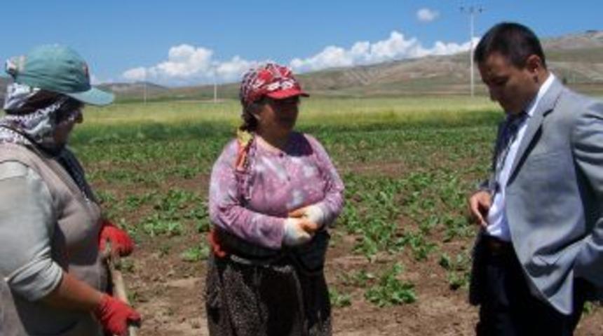 Kaymakam çapaçı kadınları ziyaret etti