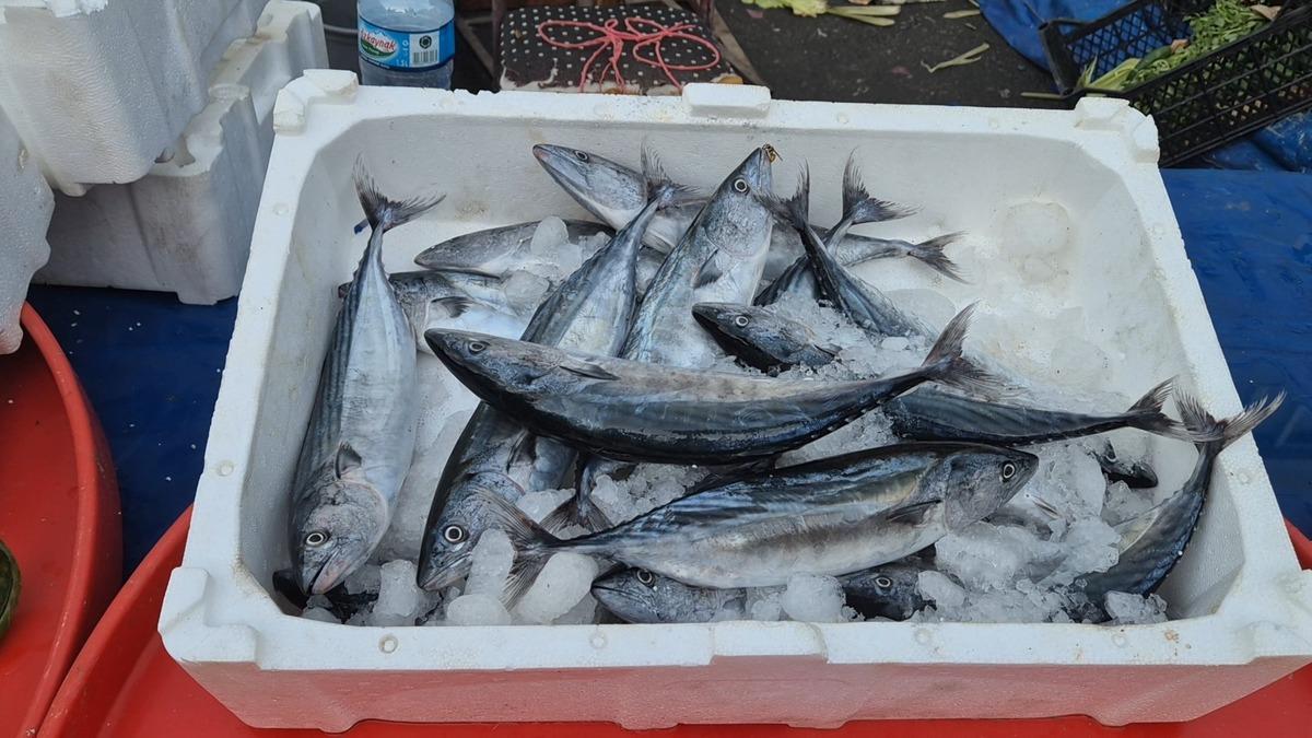 Esnaf akşam saatlerinde fiyatı daha da d&uuml;ş&uuml;rd&uuml; 1