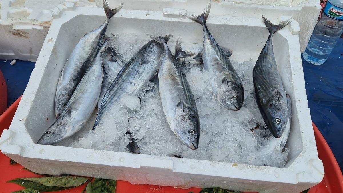 Esnaf akşam saatlerinde fiyatı daha da d&uuml;ş&uuml;rd&uuml; 2